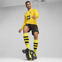 Borussia Dortmund Voetbaltrainingstop Met Kwartrits PUMA -Regatta Verkoop borussia dortmund voetbaltrainingstop met kwartrits puma 2