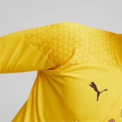 Borussia Dortmund Voetbaltrainingstop Met Kwartrits PUMA -Regatta Verkoop borussia dortmund voetbaltrainingstop met kwartrits puma 4