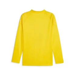 Borussia Dortmund Voetbaltrainingstop Met Kwartrits PUMA -Regatta Verkoop borussia dortmund voetbaltrainingstop met kwartrits puma 5