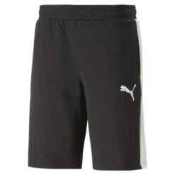 DYNA-MIX Short Voor Heren PUMA