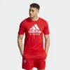 ADIDAS FC Bayern München DNA Graphic T-shirt