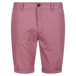 Regatta Heren Cobain Korte Broek (Mauve)