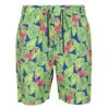 Regatta Heren Hamza Flamingo Zwemshorts (Heldere Kiwi) -Regatta Verkoop heren hamza flamingo zwemshorts heldere kiwi