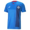 IJsland Thuis 22/23 Replica Jersey Heren PUMA -Regatta Verkoop ijsland thuis 2223 replica jersey heren puma