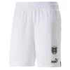 Oostenrijk Thuis 22/23 Replica Shorts Heren PUMA -Regatta Verkoop oostenrijk thuis 2223 replica shorts heren puma