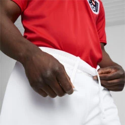 Oostenrijk Thuis 22/23 Replica Shorts Heren PUMA -Regatta Verkoop oostenrijk thuis 2223 replica shorts heren puma 4