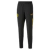 Puma Prematch Broek Manchester City 2022/23 -Regatta Verkoop prematch broek manchester city 202223