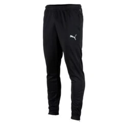 Puma TeamRISE Poly Pant, Mannen, Voetbal, Broeken, Zwart