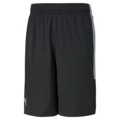 Short Puma Basketball Game