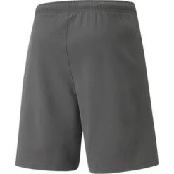 Short Puma Team Rise 5 Short Puma Team Rise -Regatta Verkoop short puma team rise 1