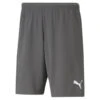 Short Puma Team Rise 1 Short Puma Team Rise -Regatta Verkoop short puma team rise